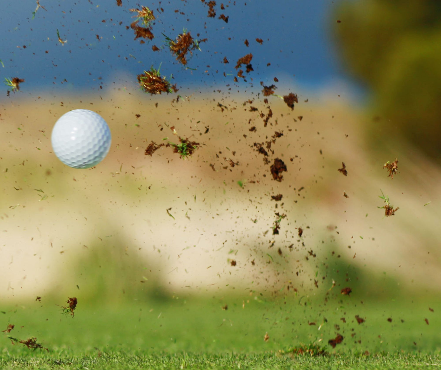 Anatomy of a Golf ball Spin Dormie.co.nz